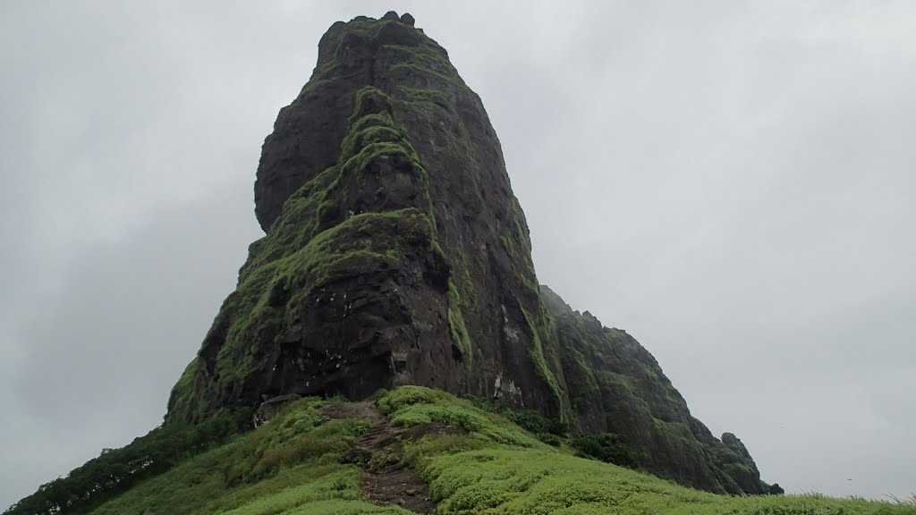 The Global Times | गिर्यारोहणासाठी गेलेल्या तरुणाचा मृत्यू