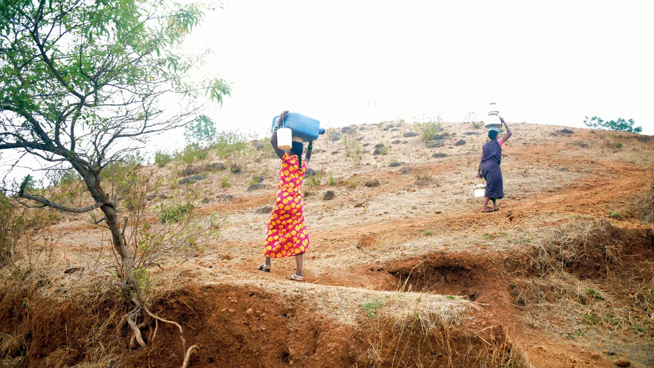 The Global Times | पालघर जिल्ह्यात महिलांची पाण्यासाठी वणवण, नद्या पडल्या...