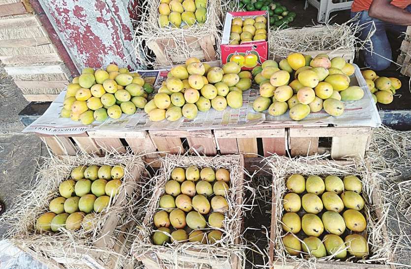 The Global Times | आंबा व्यावसायिकाला साडेचार लाखांचा गंडा