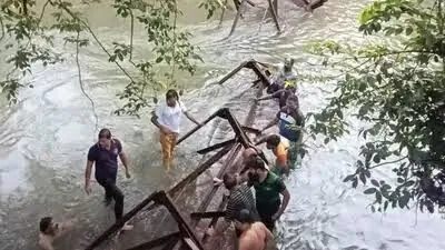 The Global Times | कोकणात जुना लोखंडी साकव कोसळला; १० ते १२ गुरे पुलाखाली...